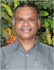 Tajuddin